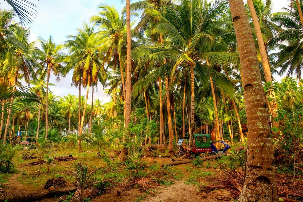 Efrena Agro Tourism Beach El Nido Extérieur photo